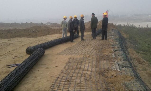 �����е���ܸ��